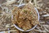 Hnina Raw Sprouted Seeds Crackers