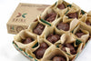 HNINA Organic Fair Trade Raw Dark Chocolate 12 delicious nourishing rocks with sprouted nuts and sprouted seeds truffles collection enclosed individually into a compostable luxurious HNINA kraft paper and inserted into a luxurious and compostable kraft paper box