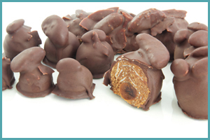 Gourmet Raw Chocolate